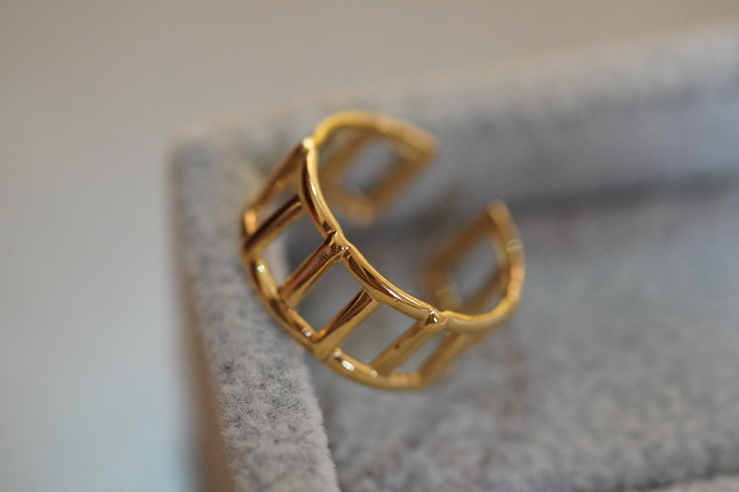 Ilya Ring