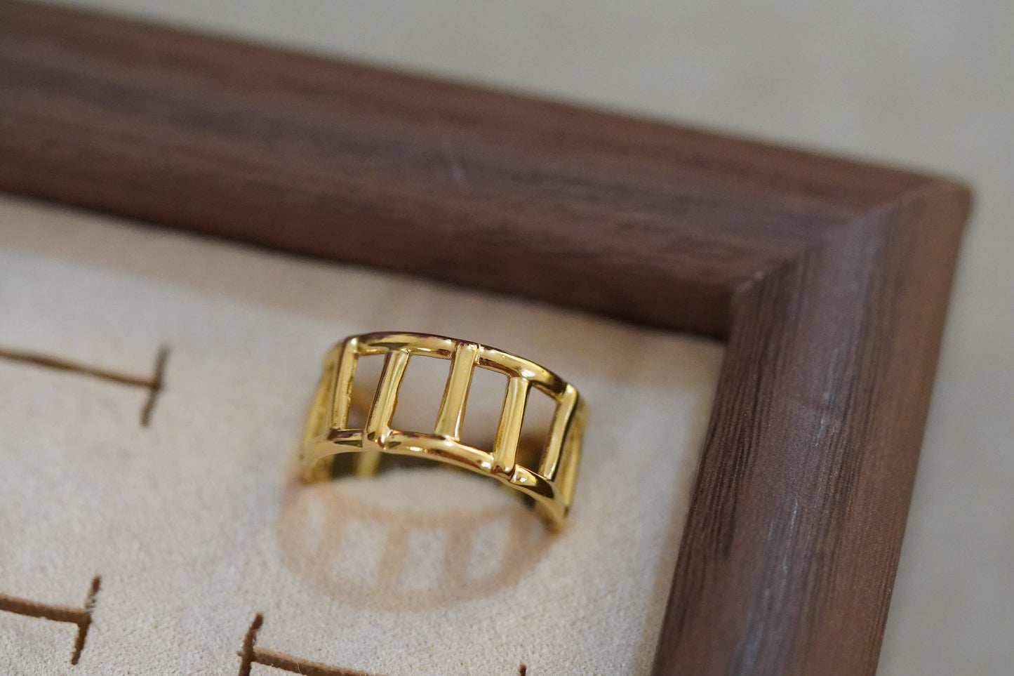 Ilya Ring