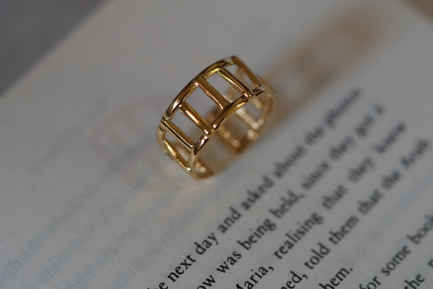 Ilya Ring
