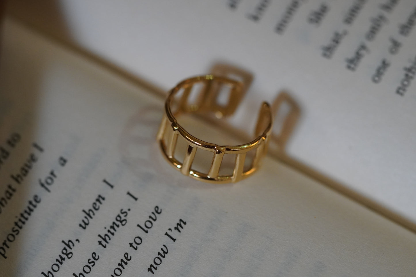 Ilya Ring