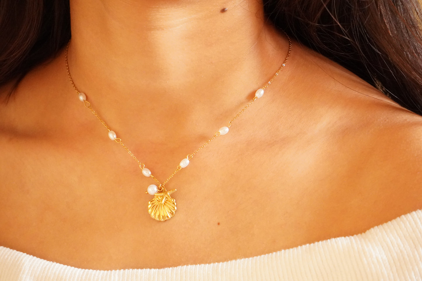 Shell Necklace