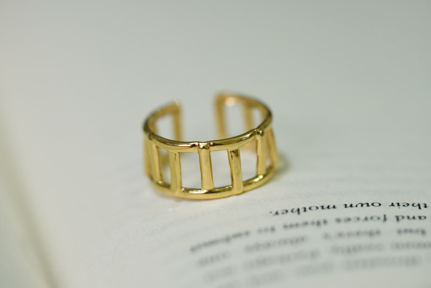 Ilya Ring