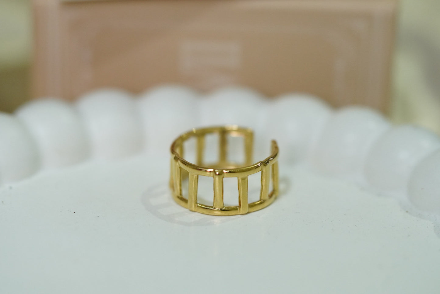 Ilya Ring