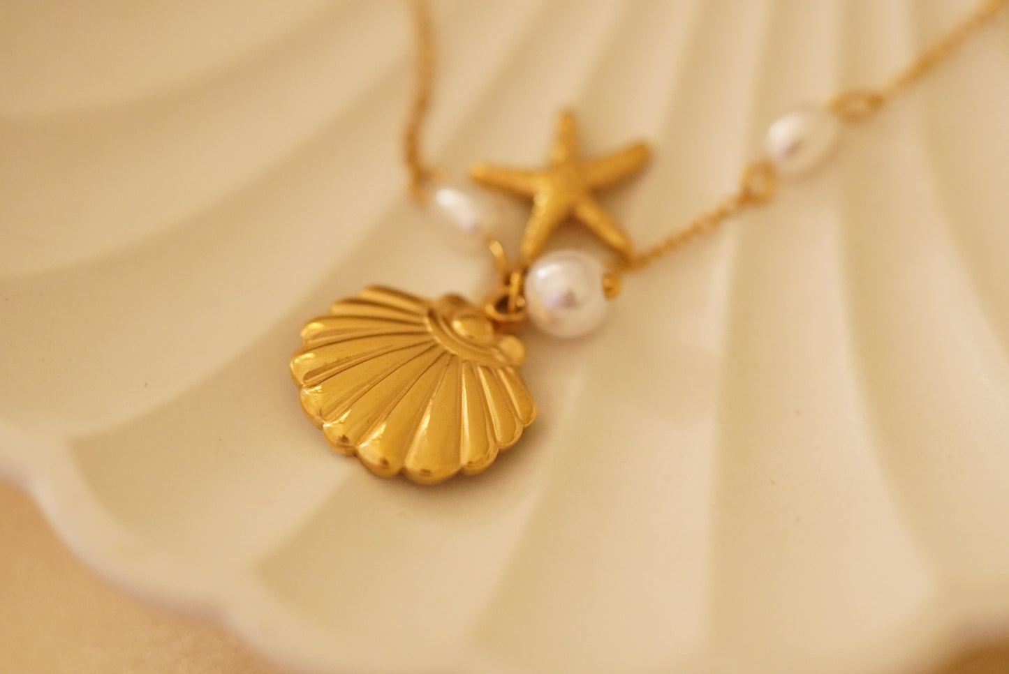Shell Necklace