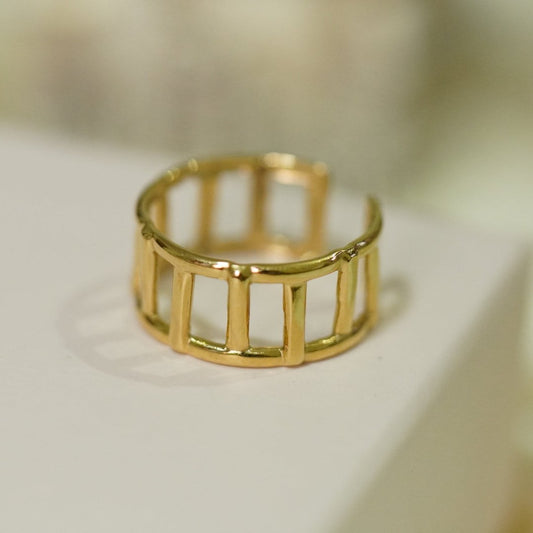 Ilya Ring